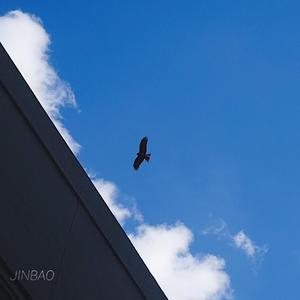 胖熊同性恋性生活视频
