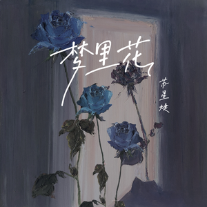 胖熊同性恋性生活视频
