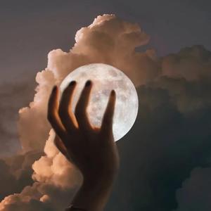 胖熊同性恋性生活视频
