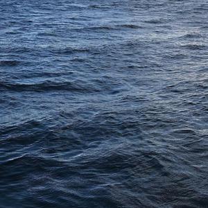 胖熊同性恋性生活视频
